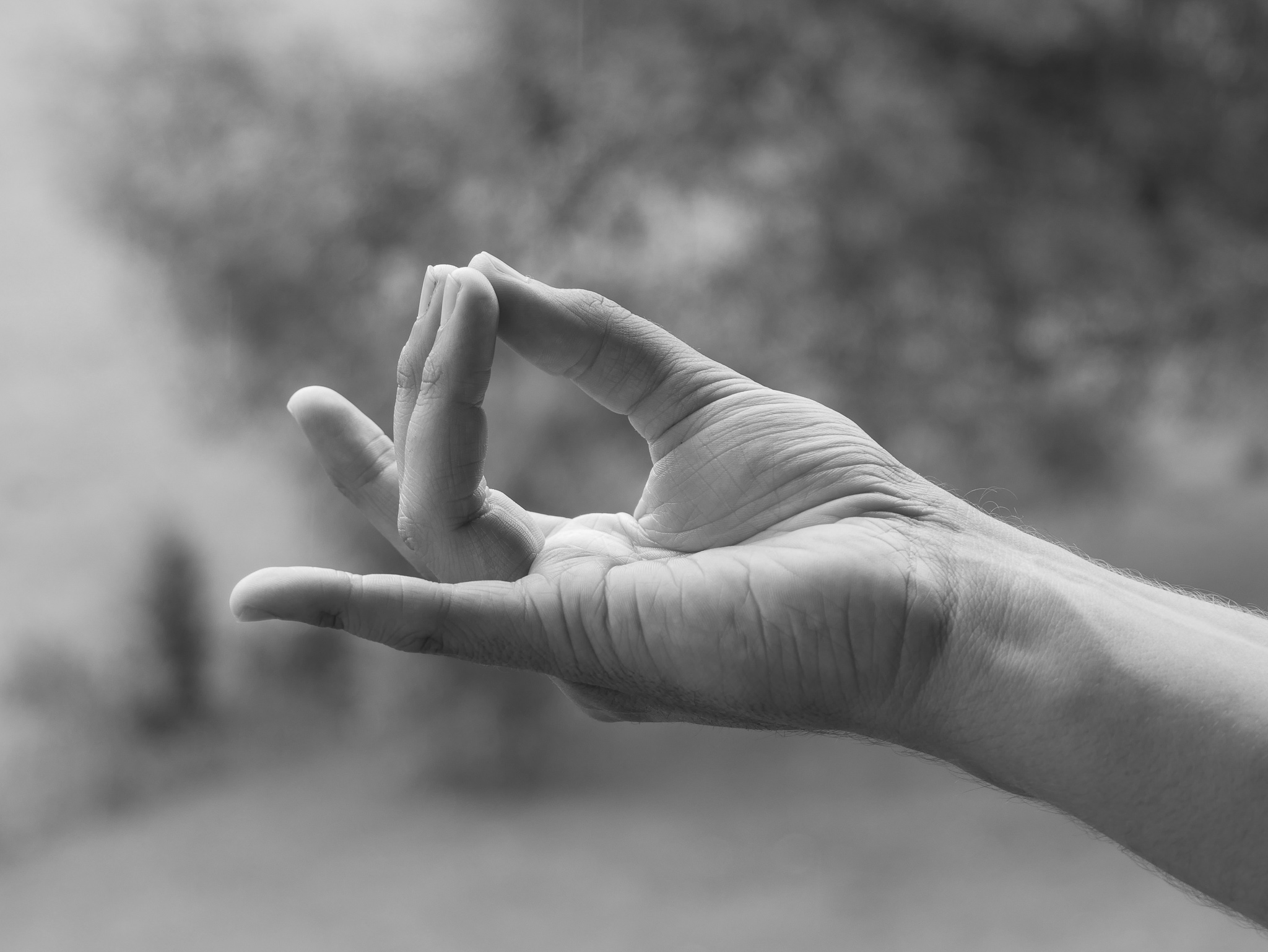 Apana Mudra von Joram Schirmaier ausgeführt – unterstützend für die Ausleitung und Erdung.
