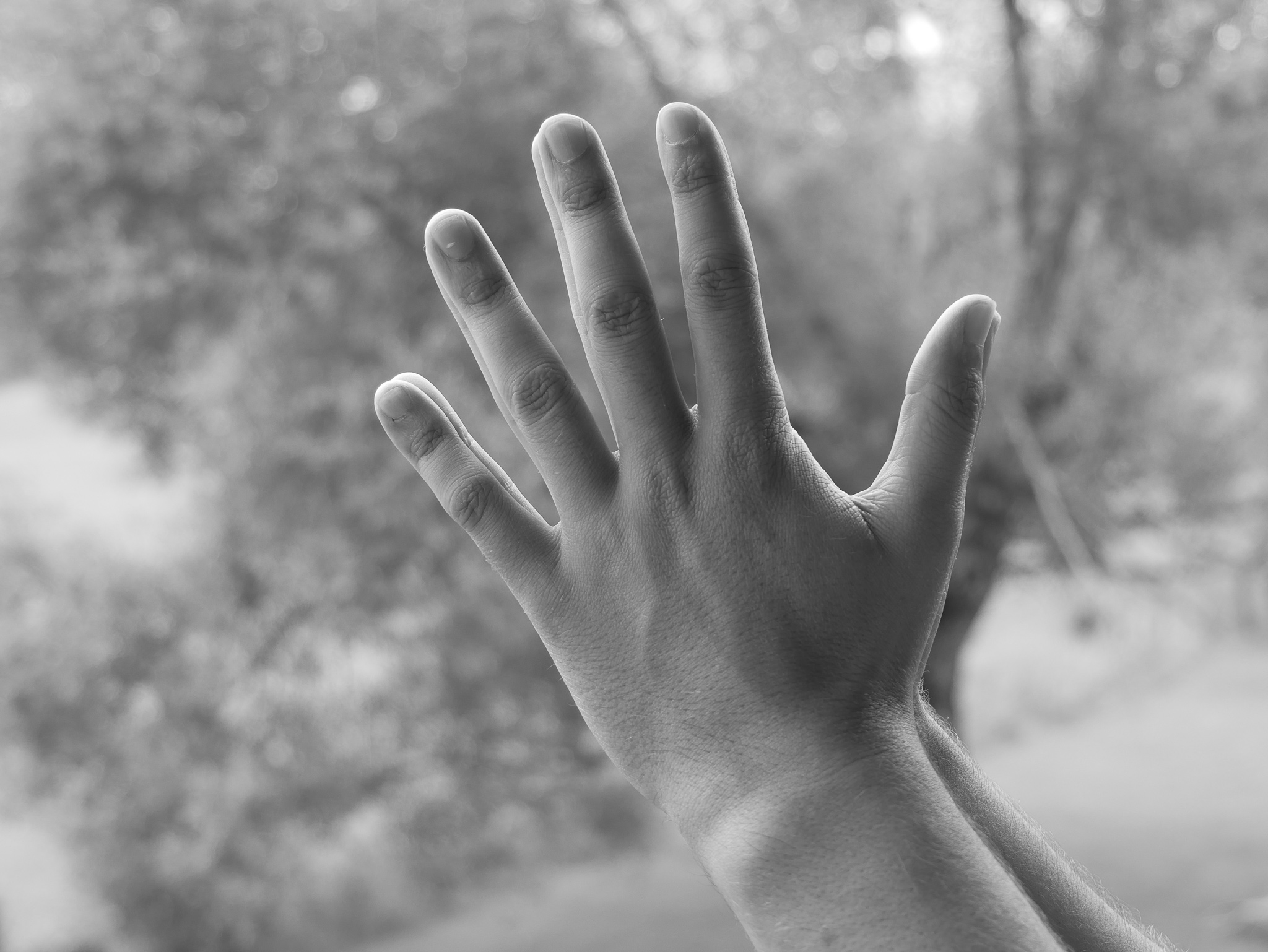 Atmanjali Mudra mit Joram Schirmaier – Ausdruck von Dankbarkeit, Respekt und innerer Ausrichtung.