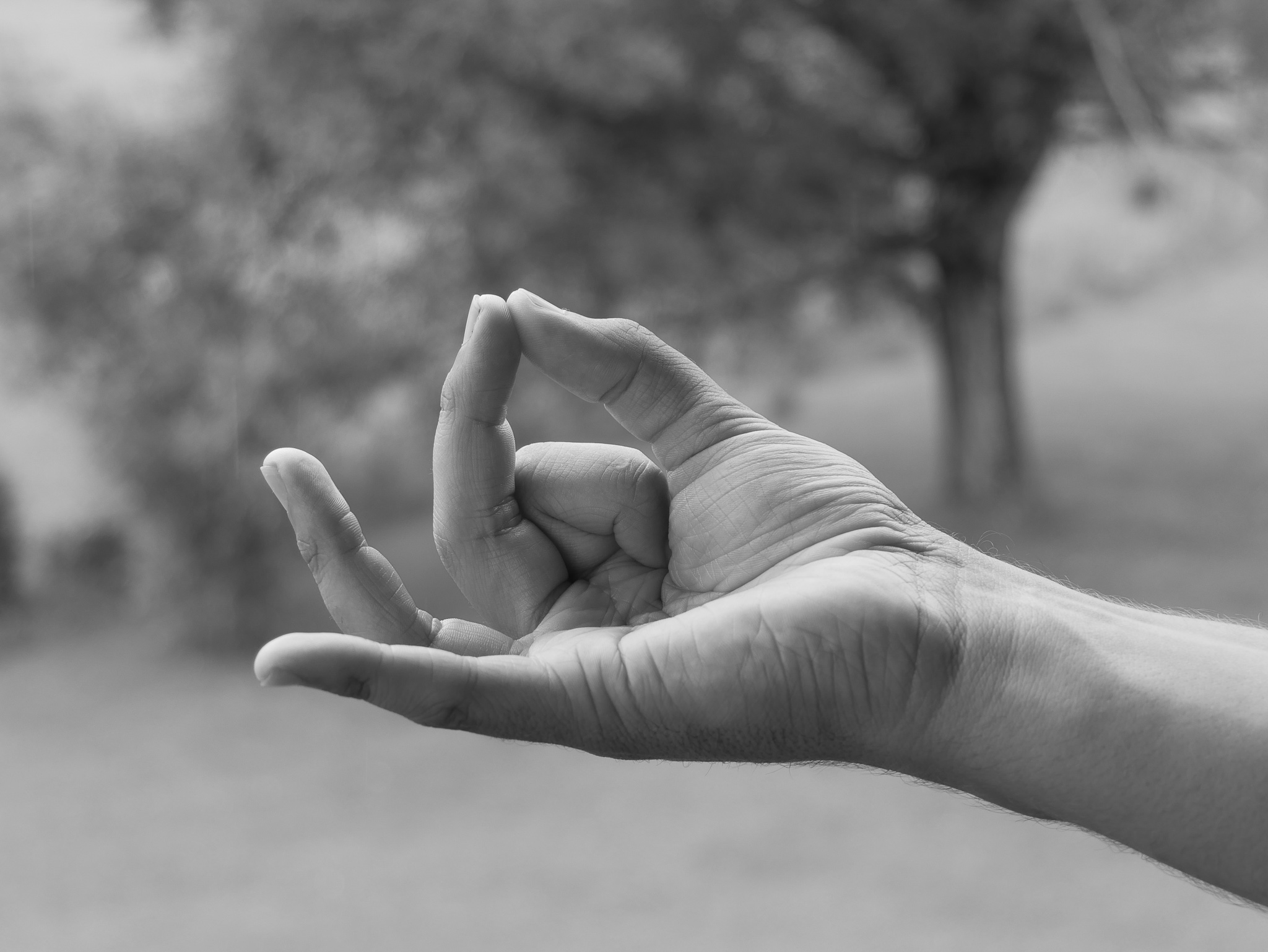 Bhramara Mudra in der Ausführung von Joram Schirmaier – stärkend für Atemwege und Immunsystem.