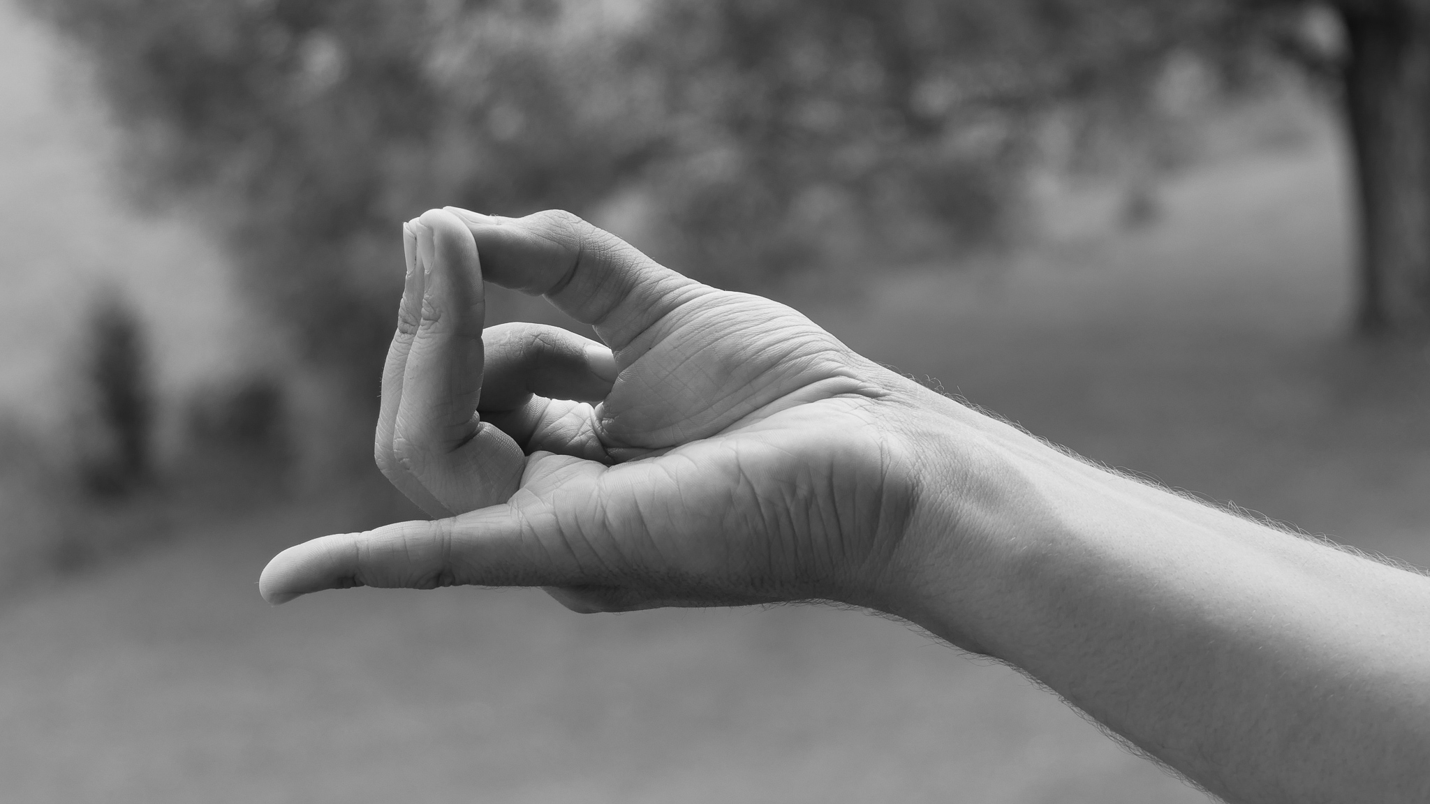 Joram Schirmaier in Apana Vayu Mudra – beruhigend und herzstärkend.
