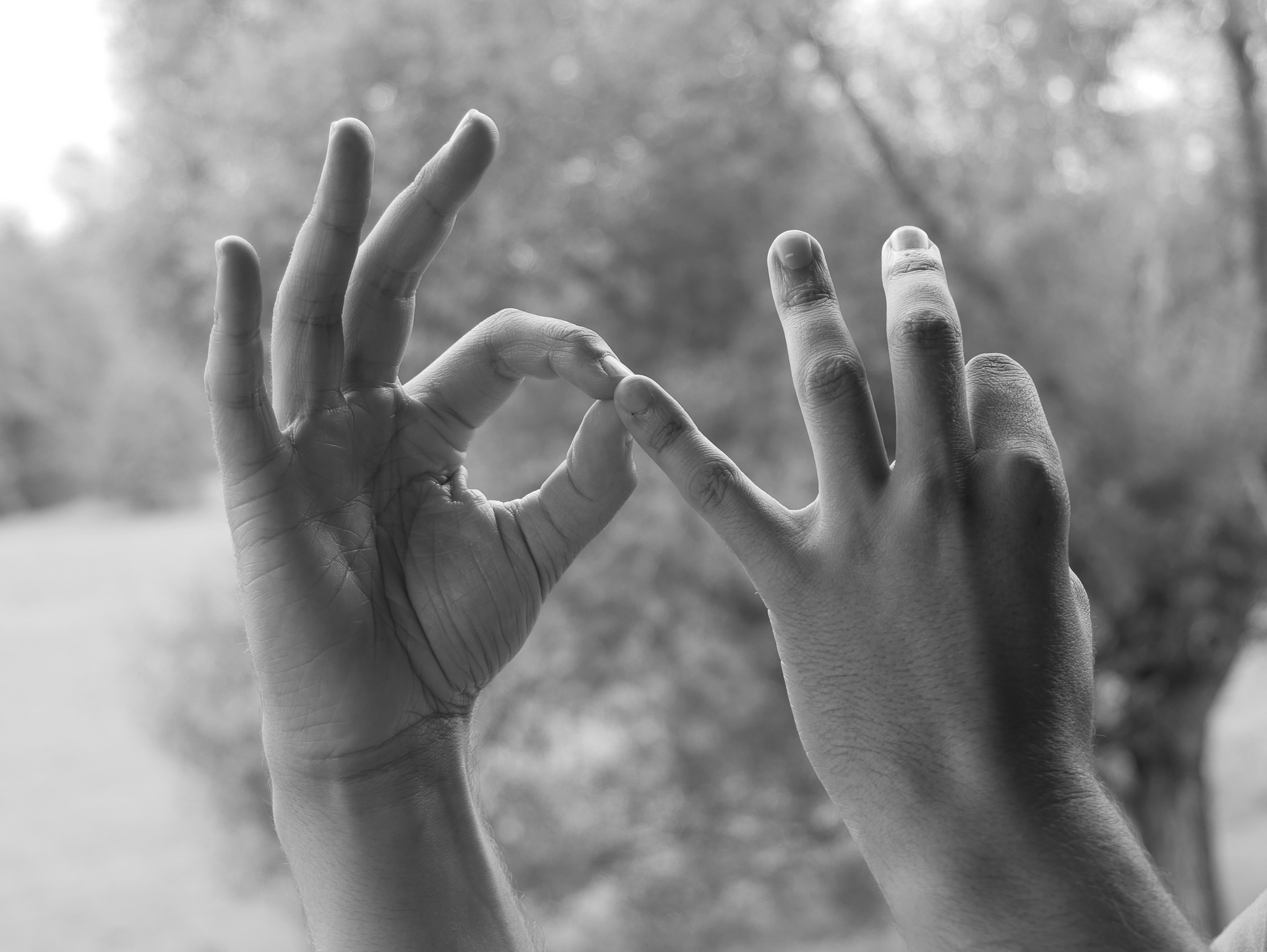Joram Schirmaier demonstriert Dharmachakra Mudra – Symbol der Lehre und Weisheit.