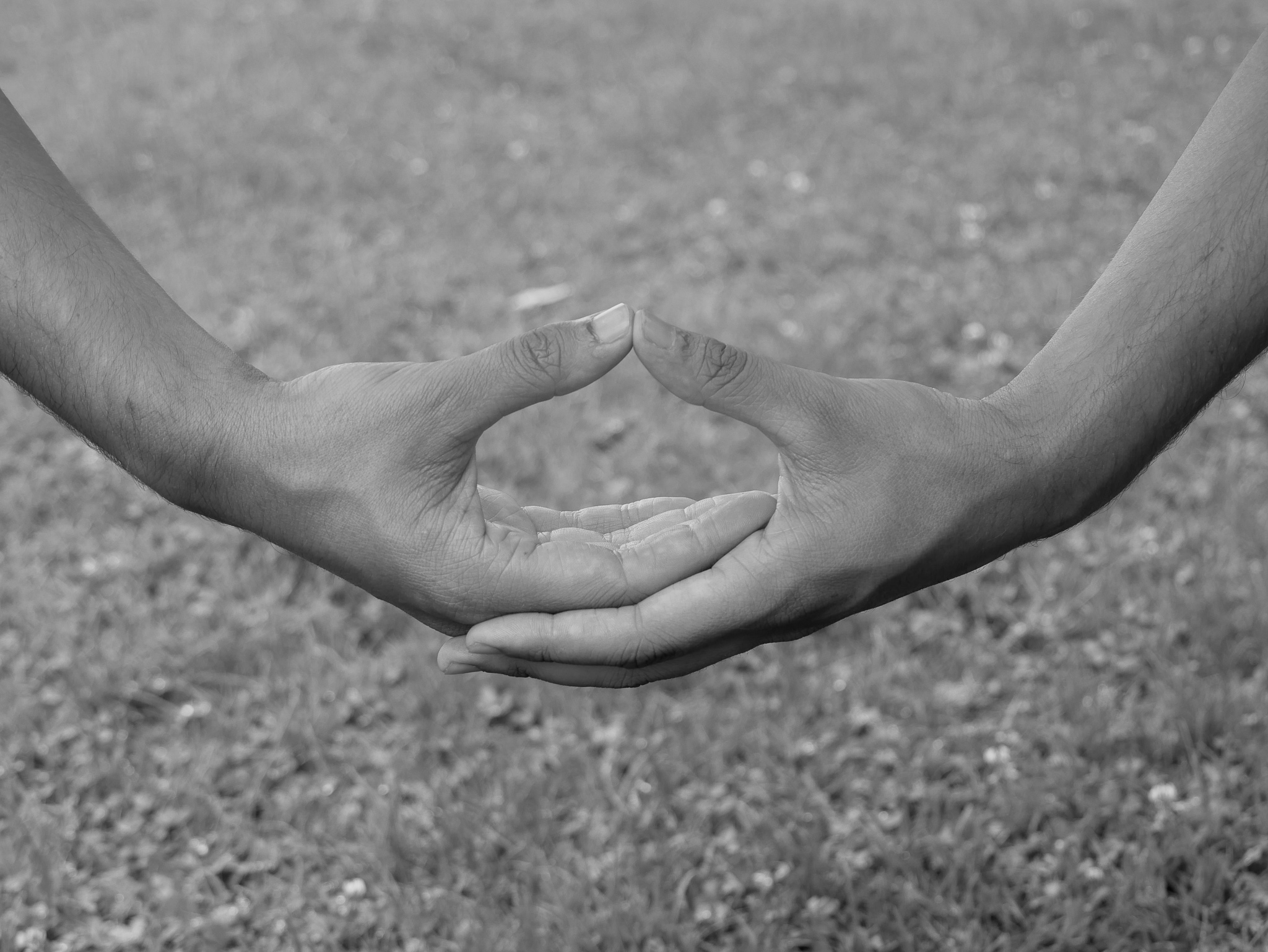 Dhyani Mudra mit Joram Schirmaier – die klassische Meditationshaltung der Hände.