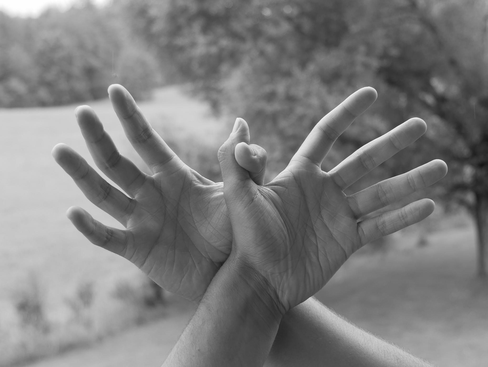 Garuda Mudra mit Joram Schirmaier – Symbol für innere Freiheit und Energiefluss.