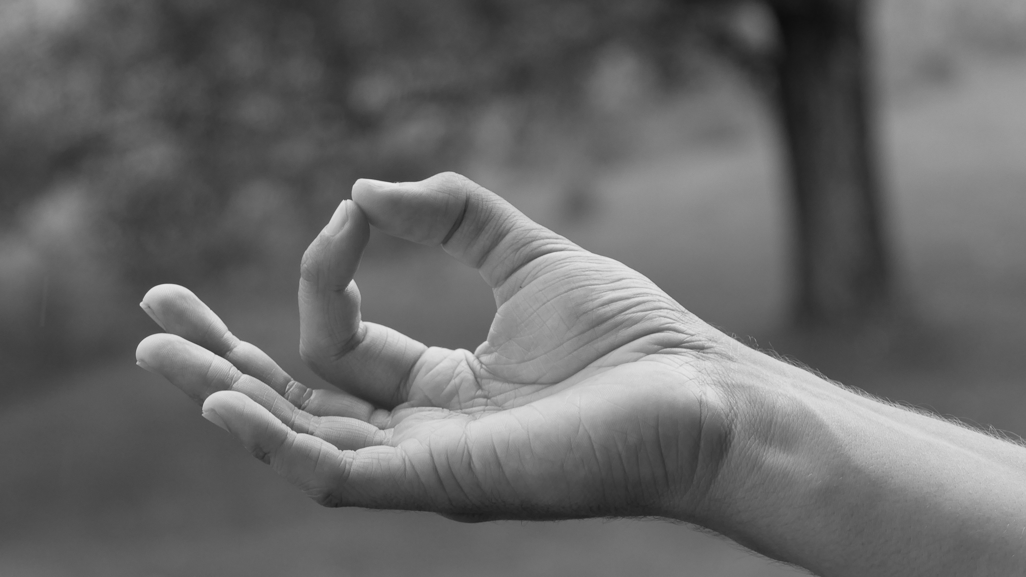 Jnana Mudra mit Joram Schirmaier – die klassische Geste des Wissens.