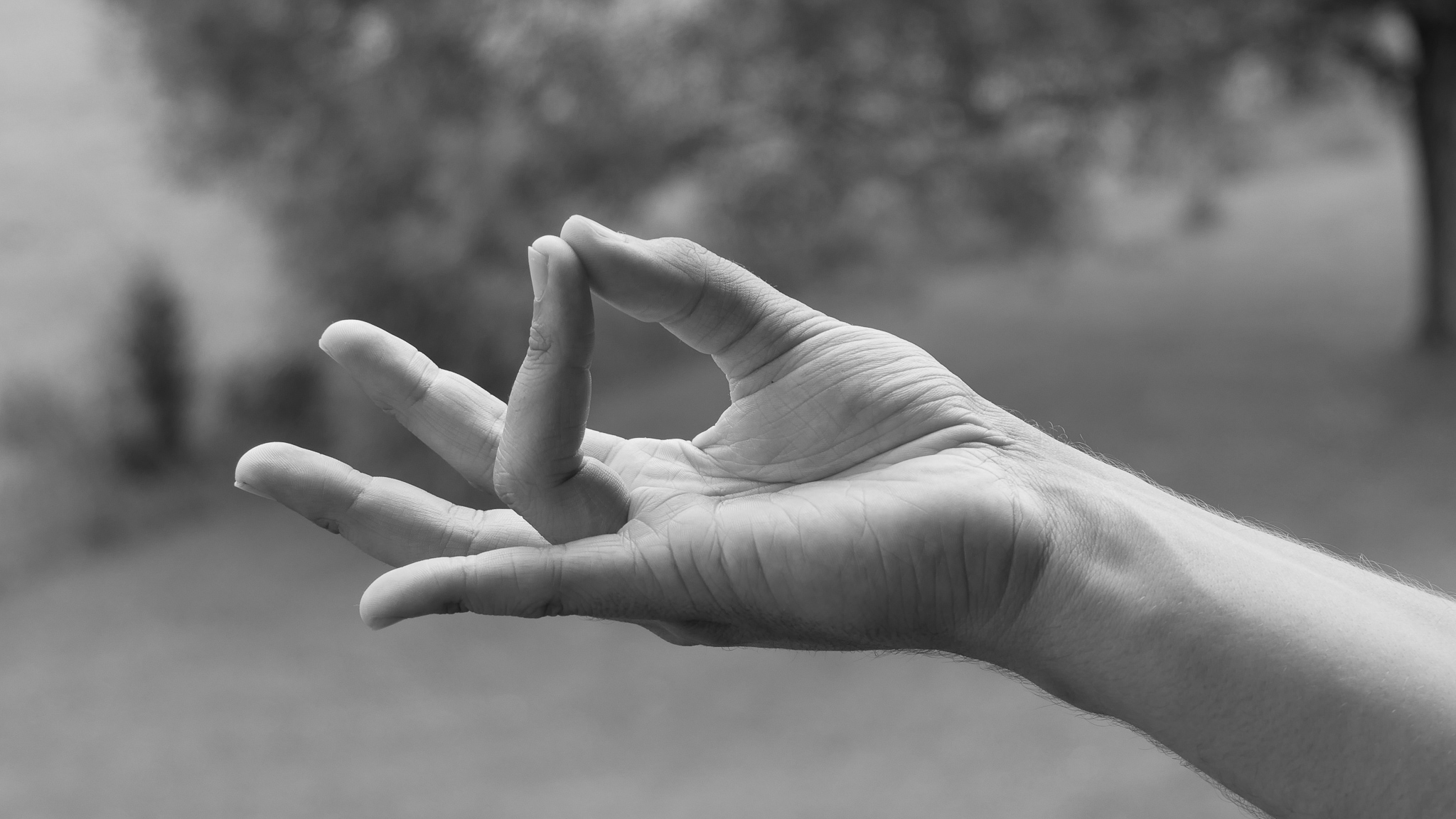 Joram Schirmaier demonstriert Prithivi Mudra – zur Erdung und Stabilität. Joram Schirmaier demonstriert Prithivi Mudra – zur Erdung und Stabilität.