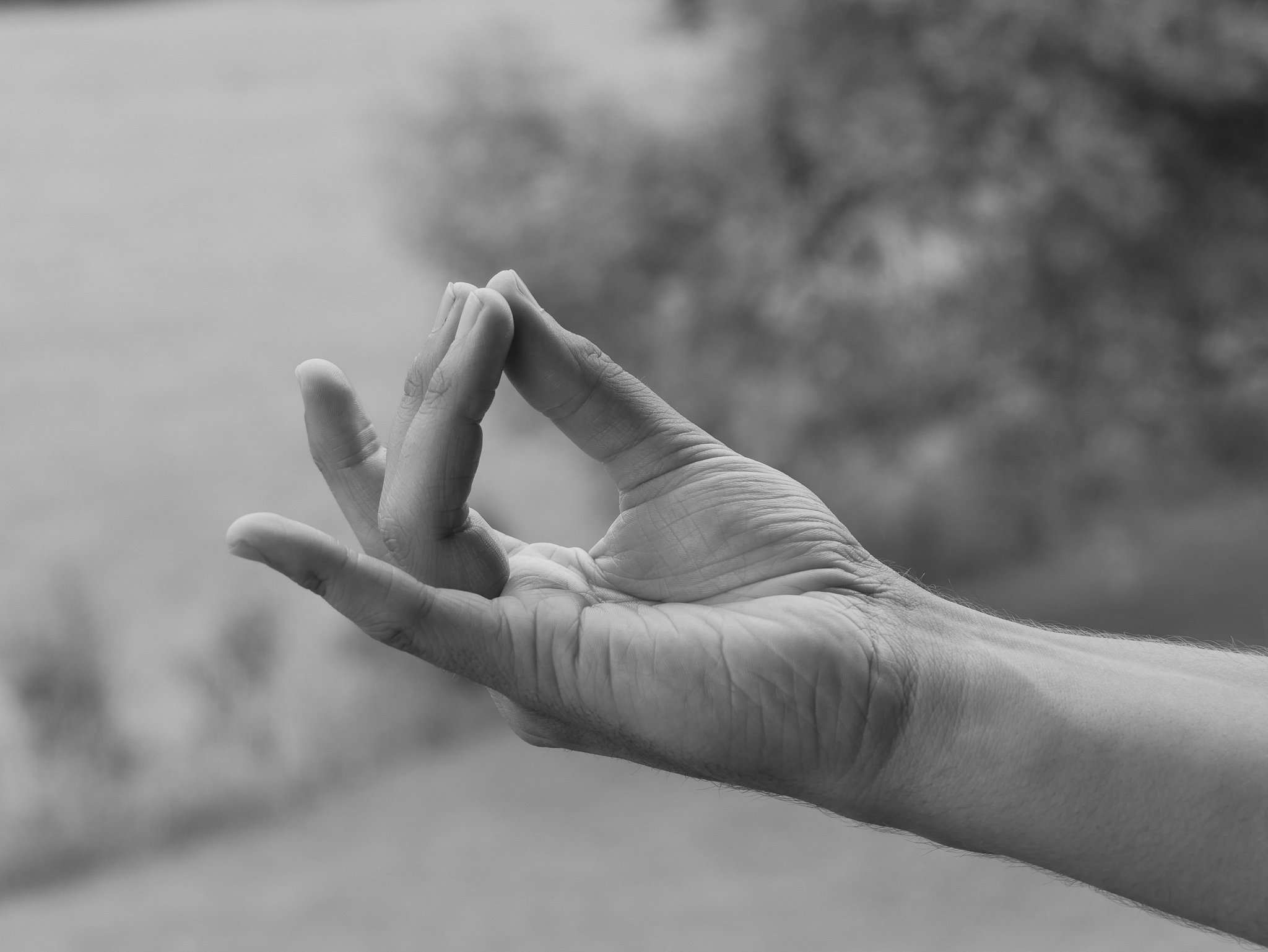 Pushana Mudra mit Joram Schirmaier – zur Unterstützung der Verdauung und inneren Balance.