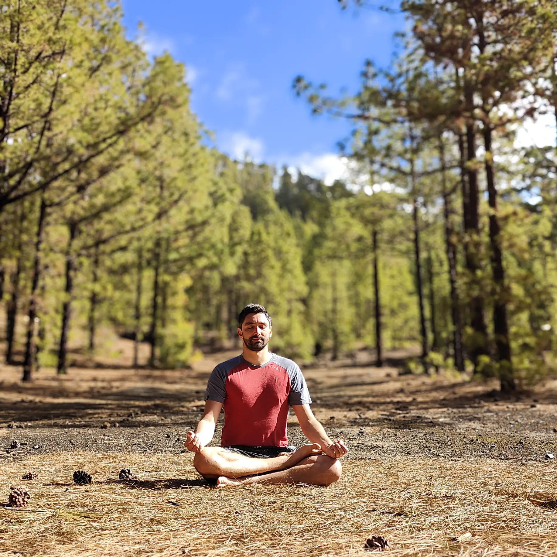 Karma Yoga – achtsames Handeln im Alltag